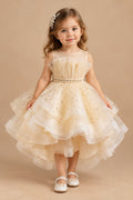 Luna Lace Party Dress