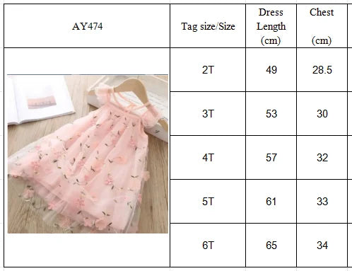 Blossom Embroidered Party Dress