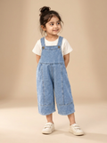 Classic Denim Bib Overalls